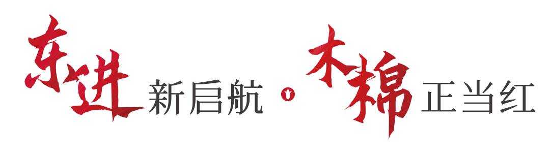 开门纳客丨东进新启航·木棉正当红-20
