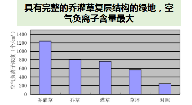 龙湖景观 | 生态美学法则与全龄健康生活的完美融合-51