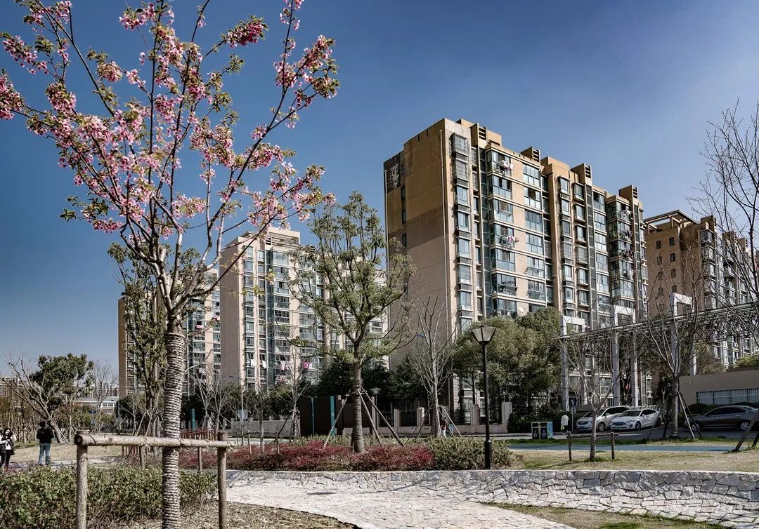 上海松江方松体育公园-34