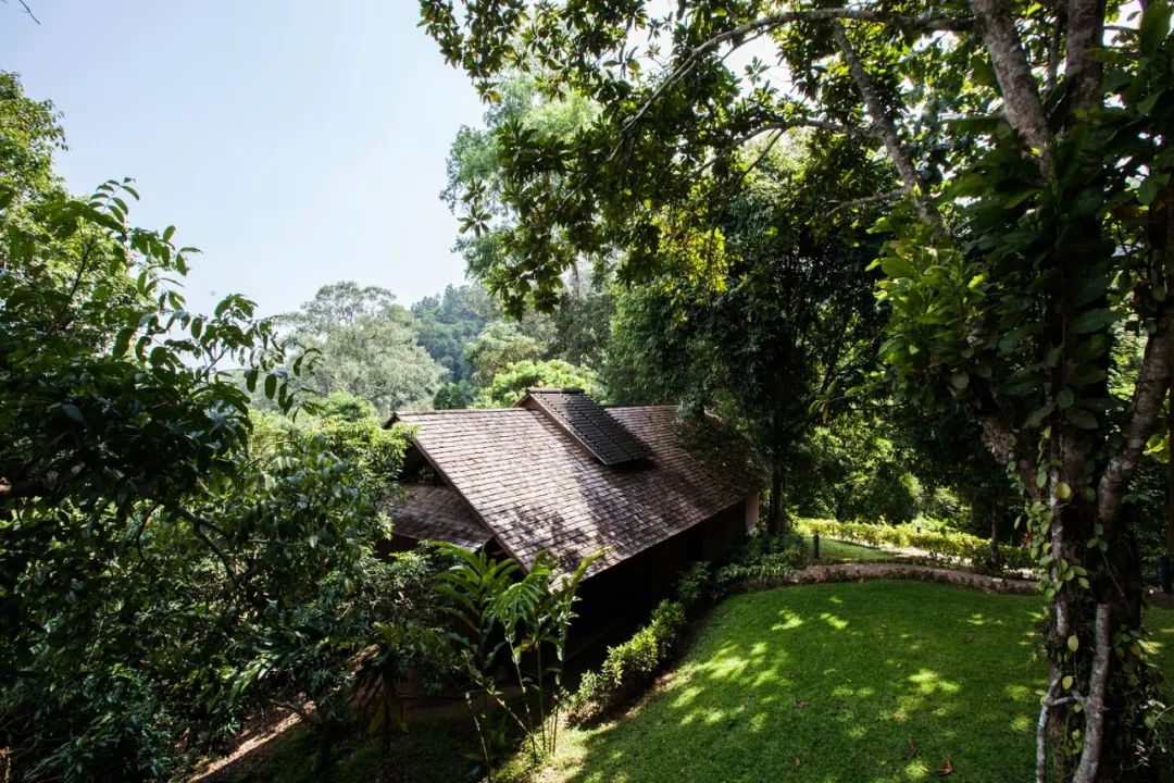 670㎡度假村 | 原生态木工作坊,Glenn Murcutt 式偏远地区建筑技巧-26