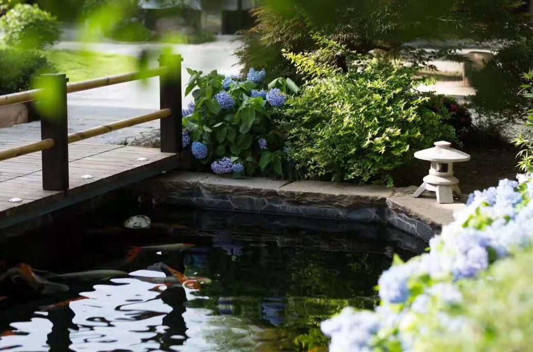 上海日式庭园民宿丨中国上海丨民宿主人-19