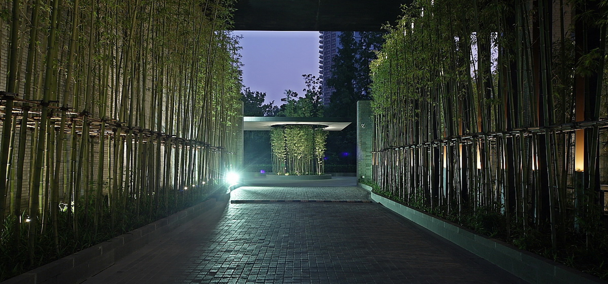 JAYA  上海璞丽酒店官方高清摄影实景照片-2-43