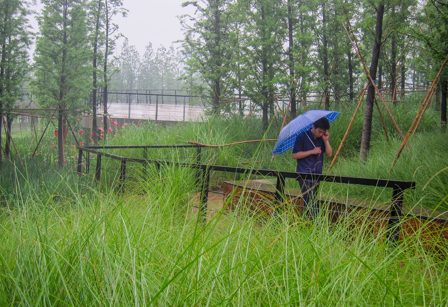 嘉定石冈门塘湿地公园-7