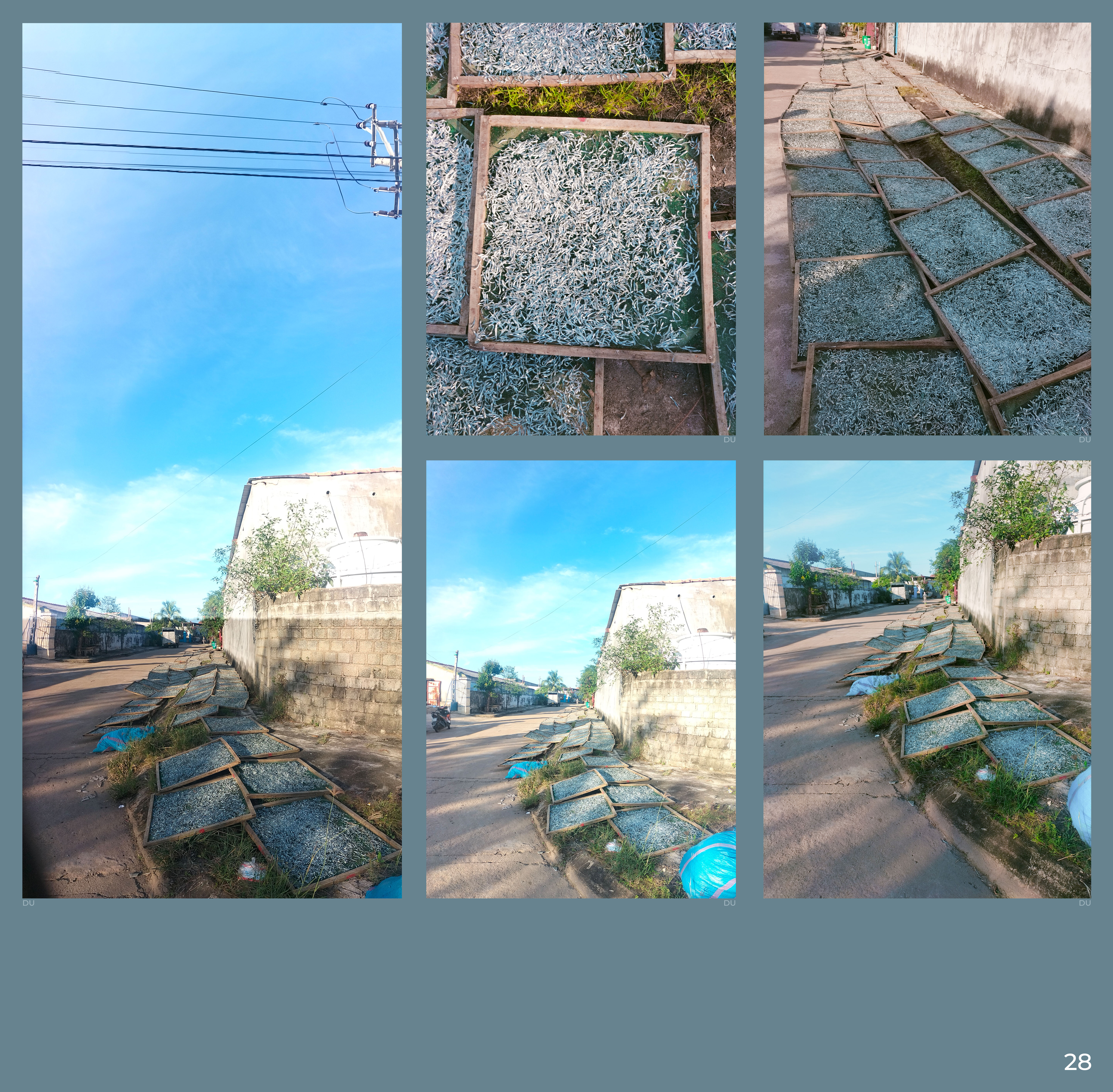 LÊN KÈO ĐI BIỂN-28