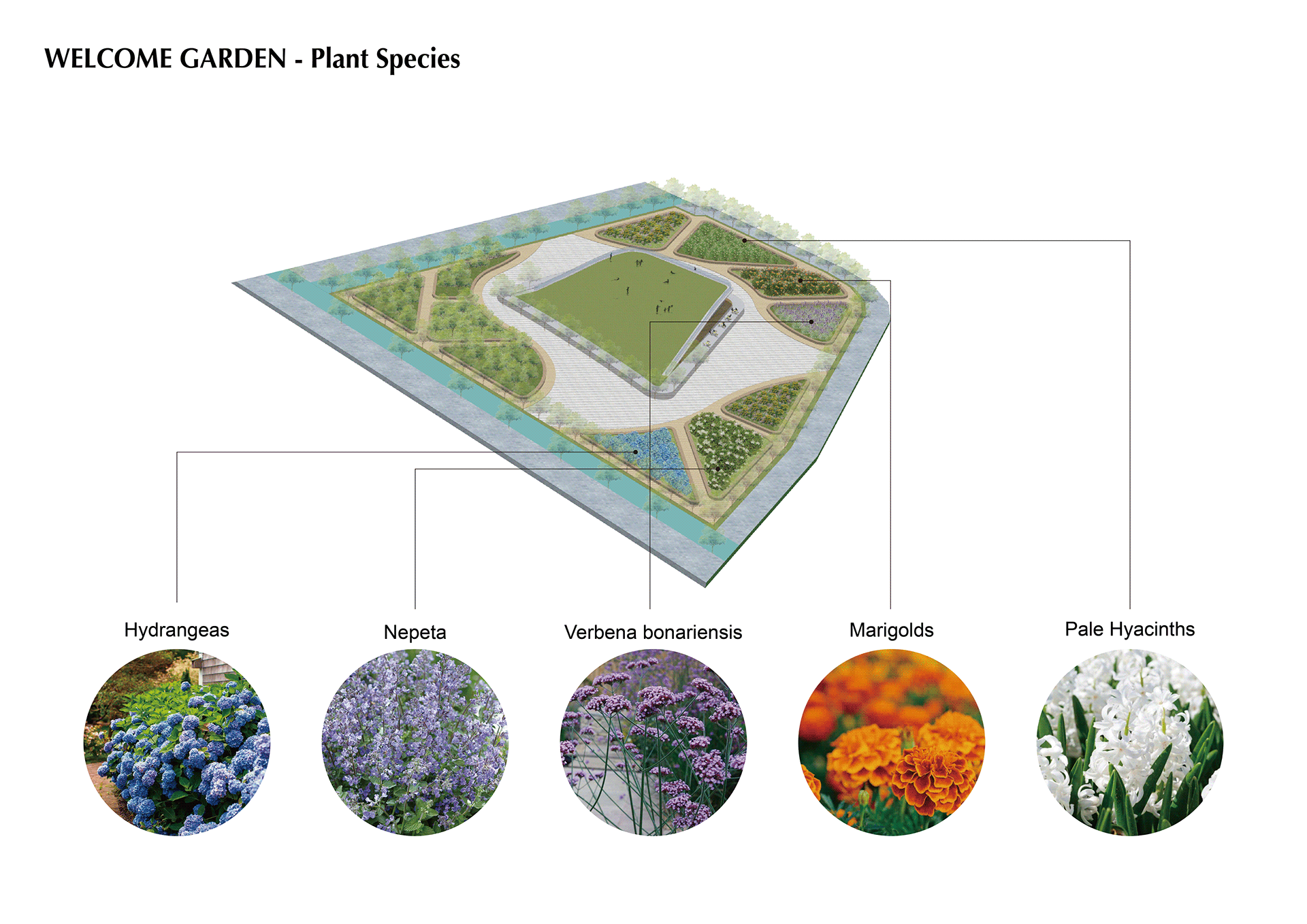Urban Design | Blackwattle Bay Precinct Redevelopment-46