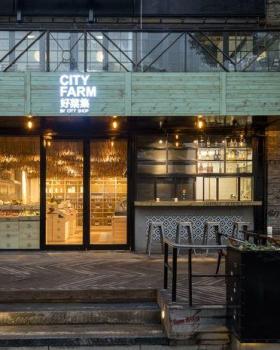 上海 CITYFARM - JINHUI | 申俊伟的绿色镜像采摘场
