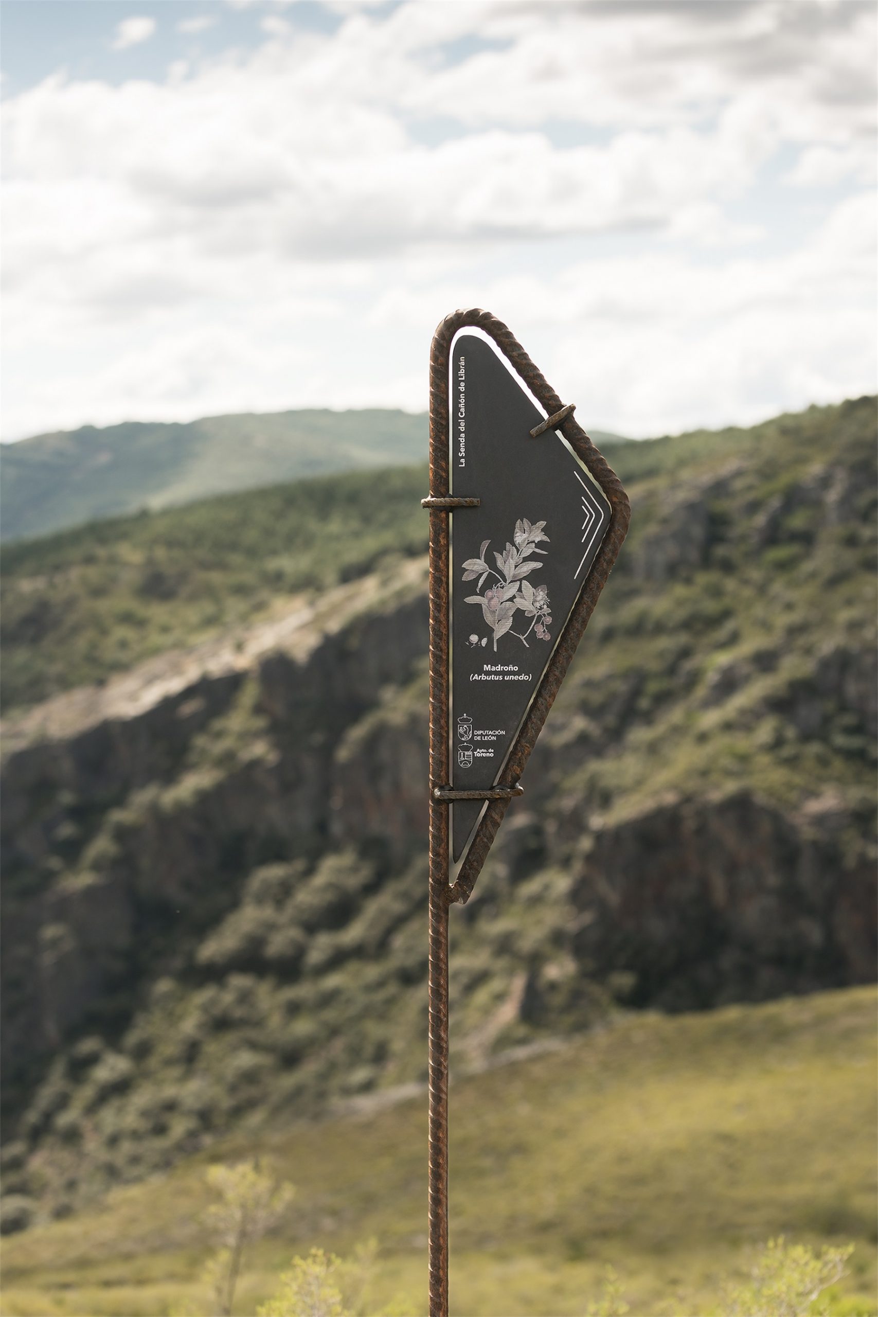 从滑索到秋千丨西班牙丨Pareid-35