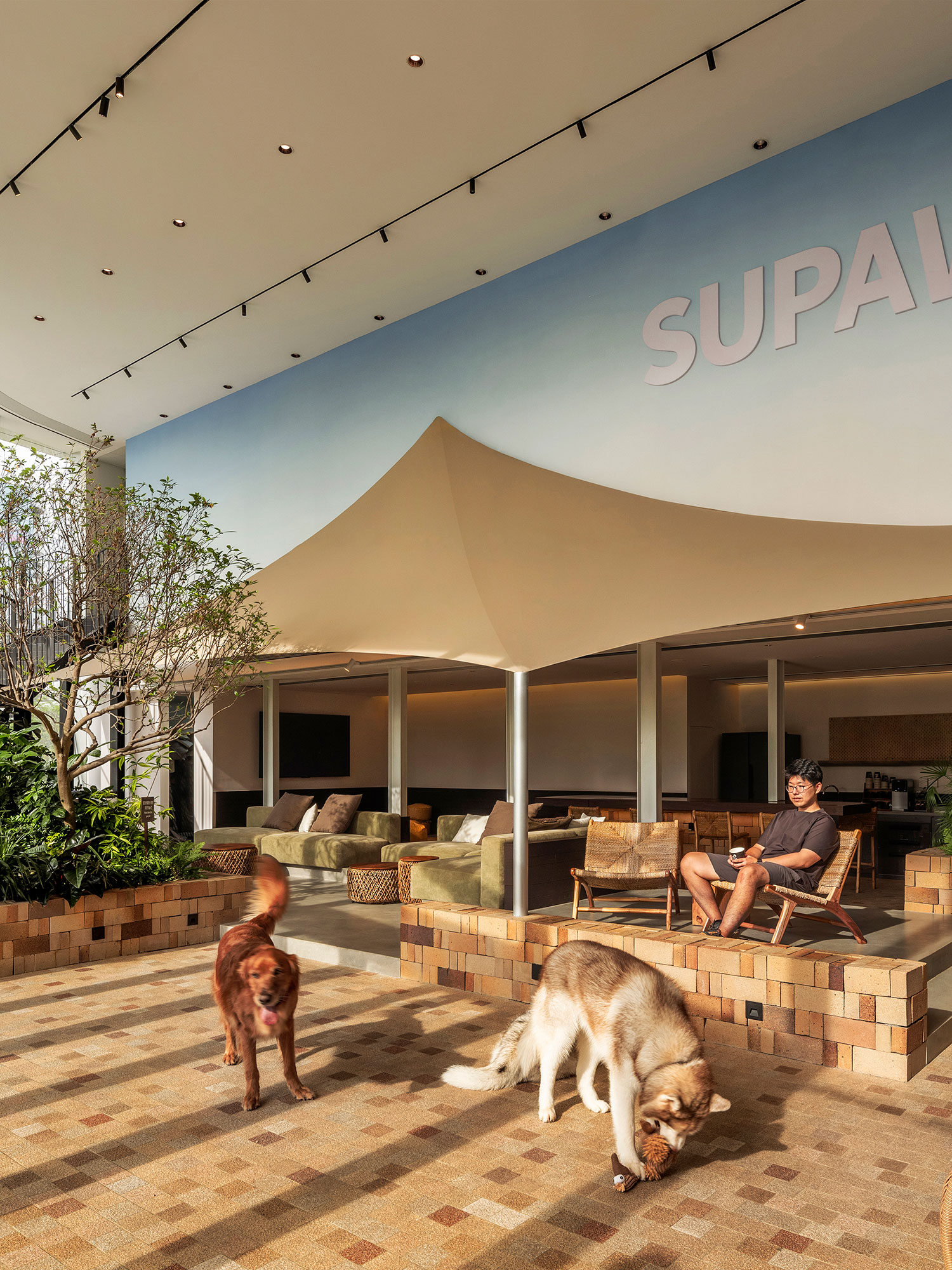 咖啡店丨中国深圳丨Pure & Wild Studio朴野设计-64