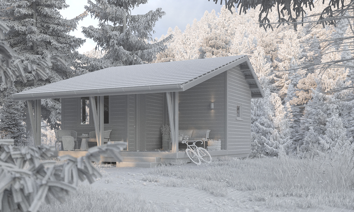 Morning in the forest-5