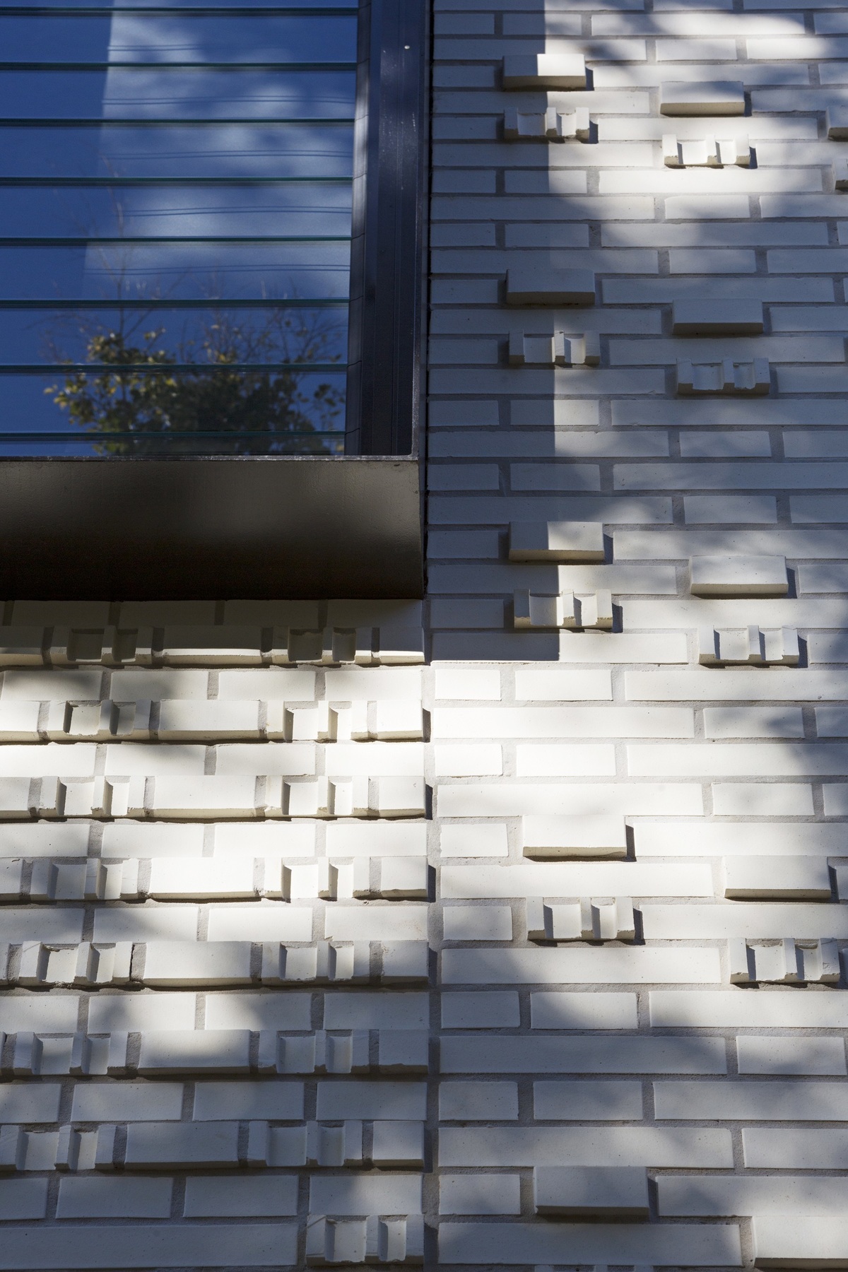 St Aidan's Campus Link / Cox Architecture-15