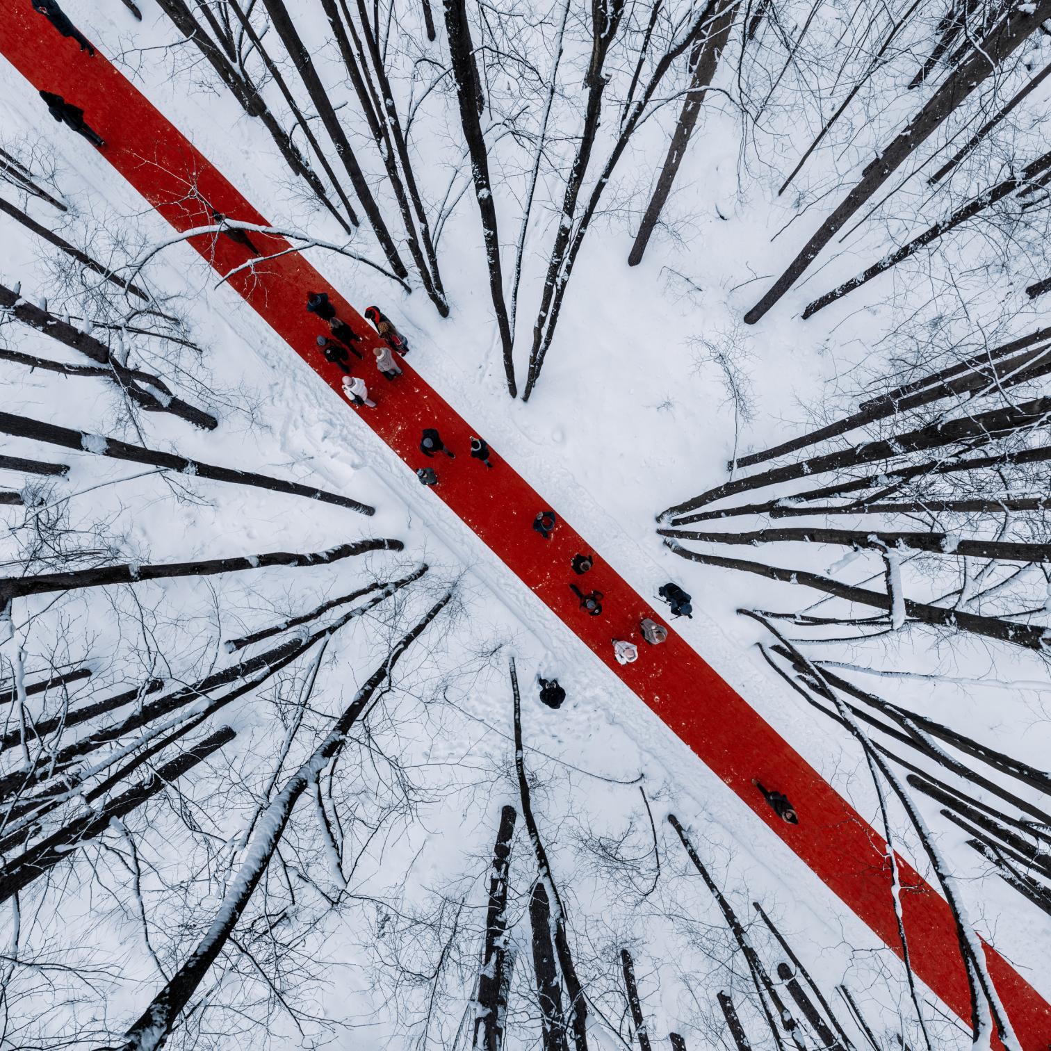 莫斯科马列维奇公园的红色地毯丨俄罗斯莫斯科丨El artista-7