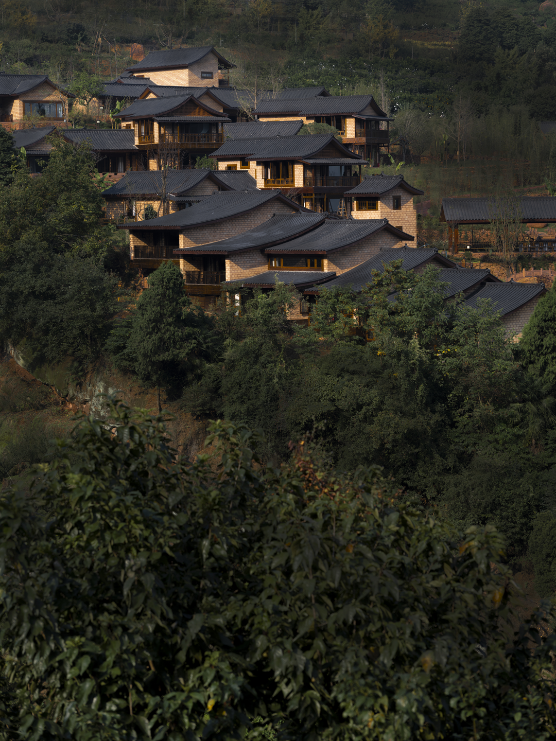 幸福岭 · 川西古村的生态民宿聚落设计丨中国眉山丨四川省大卫建筑设计有限公司-0