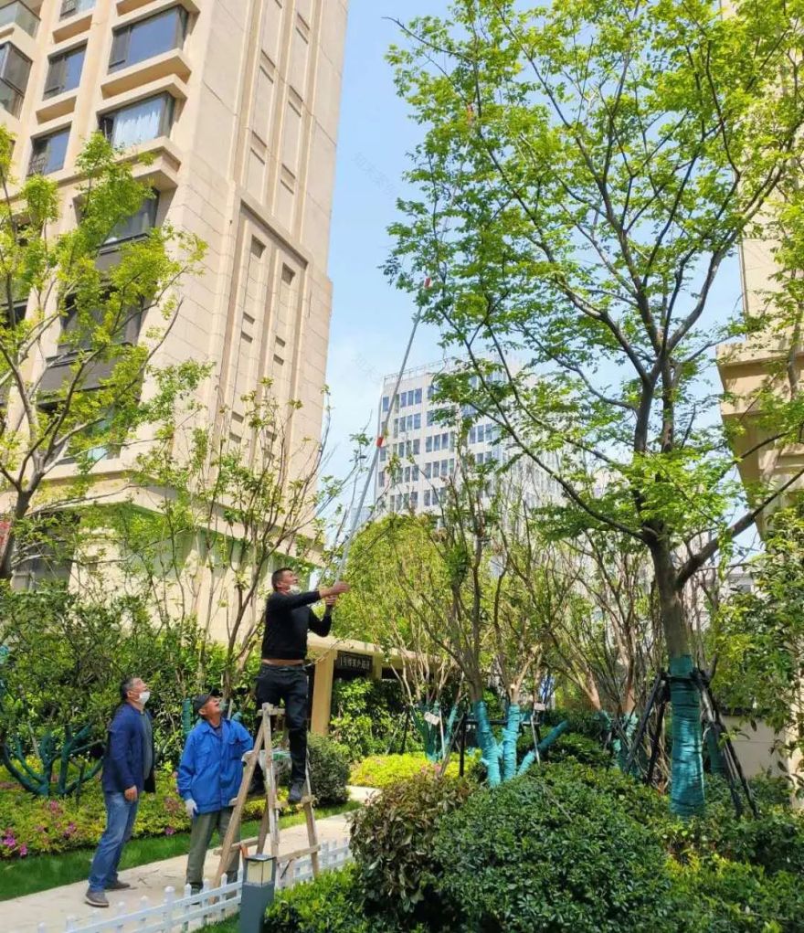 上海静安府东区 | 绿色园林与艺术景观的完美融合-69