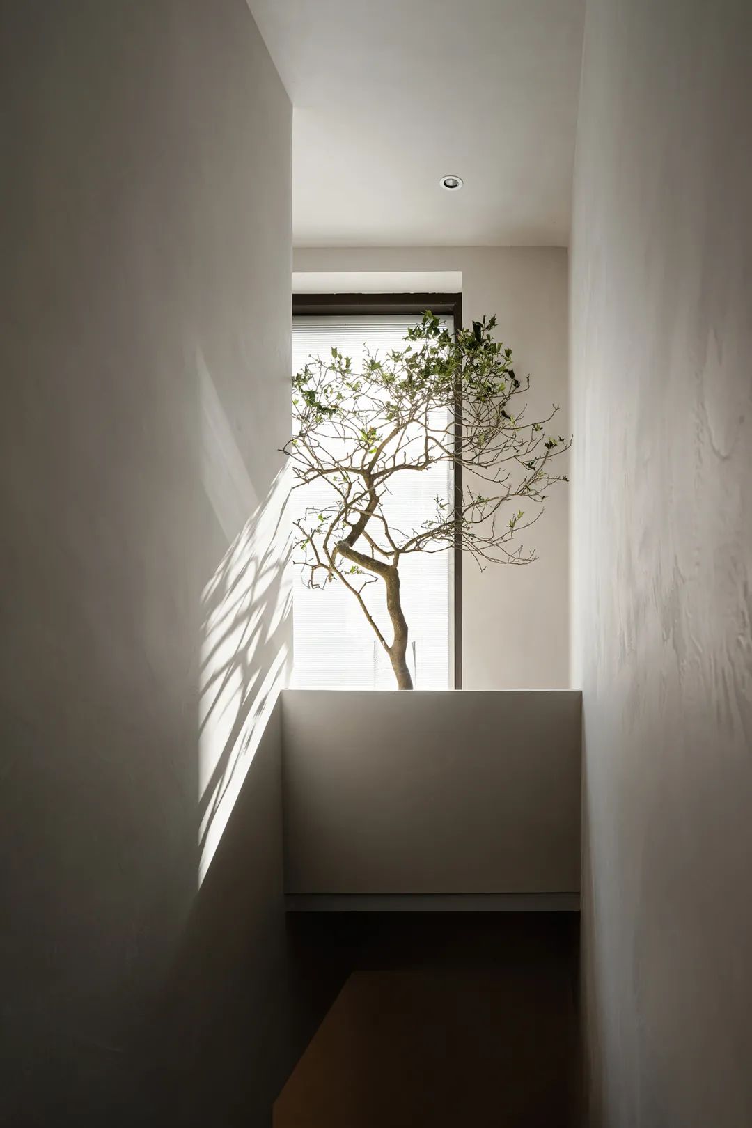 龙湖艳澜海岸丨中国宁波丨木白设计-10