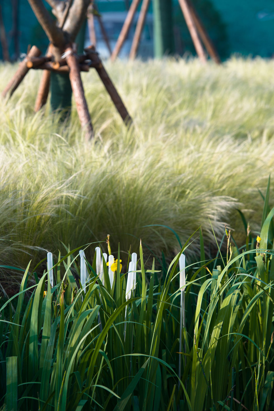 南昌 Rule 水街-20