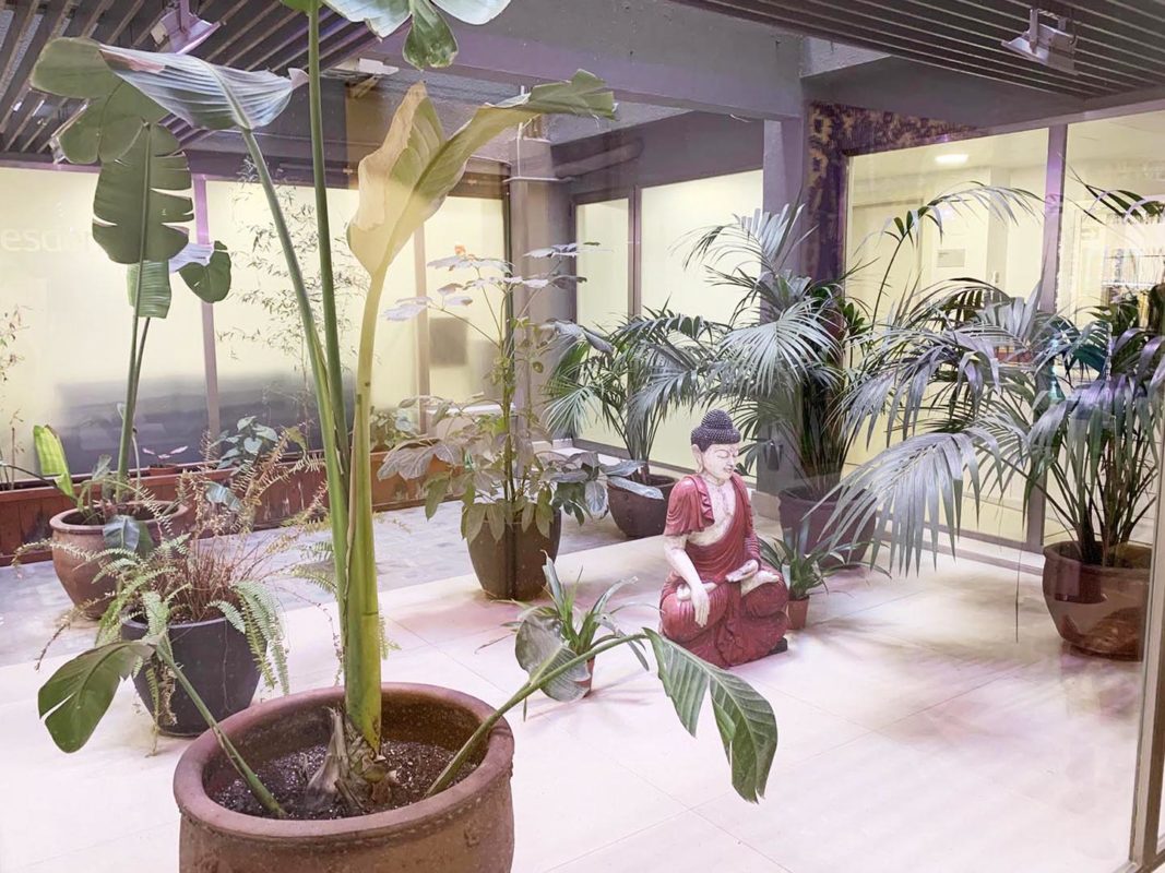 塞拉诺医生健康中心-20