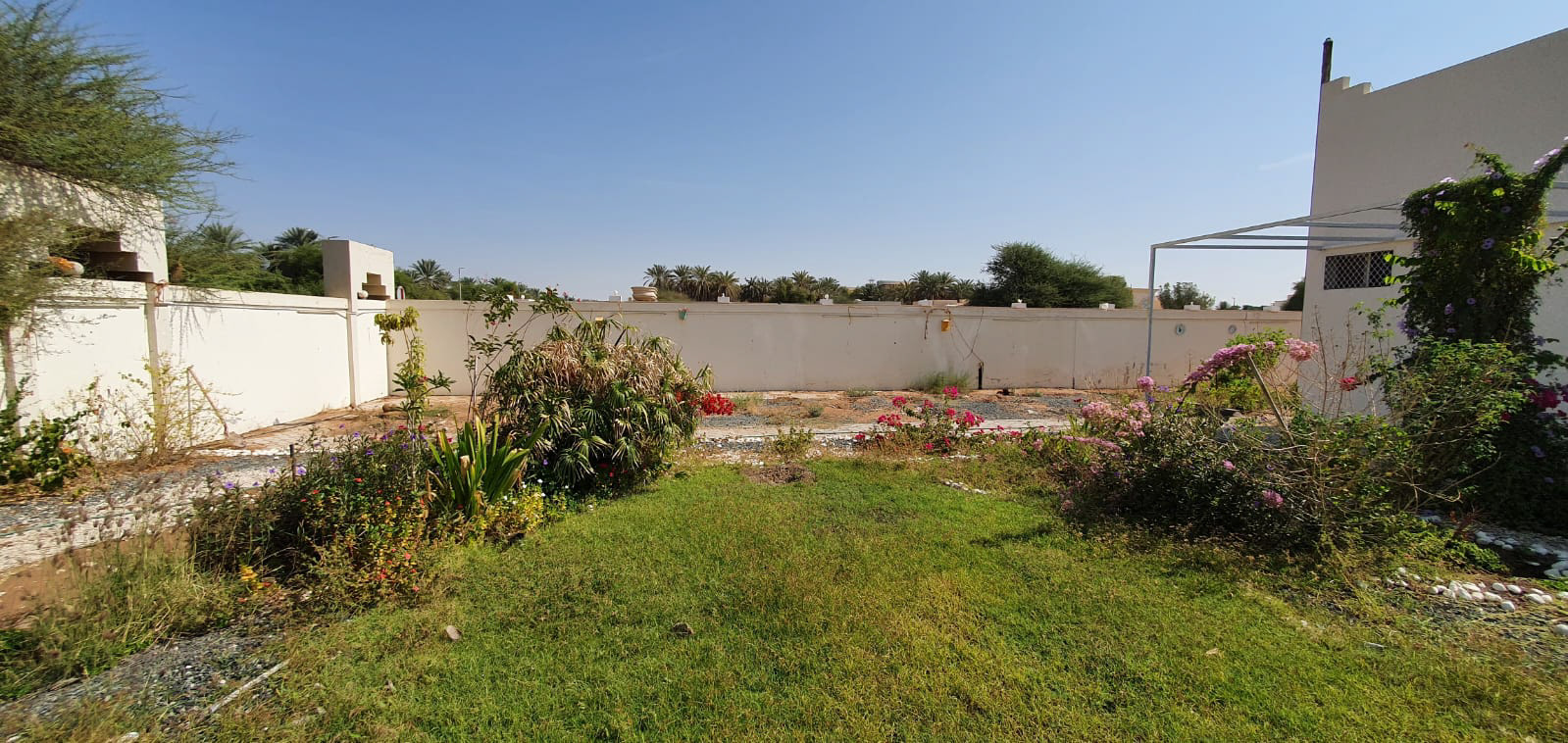 别墅后院花园丨laarte.ae-28