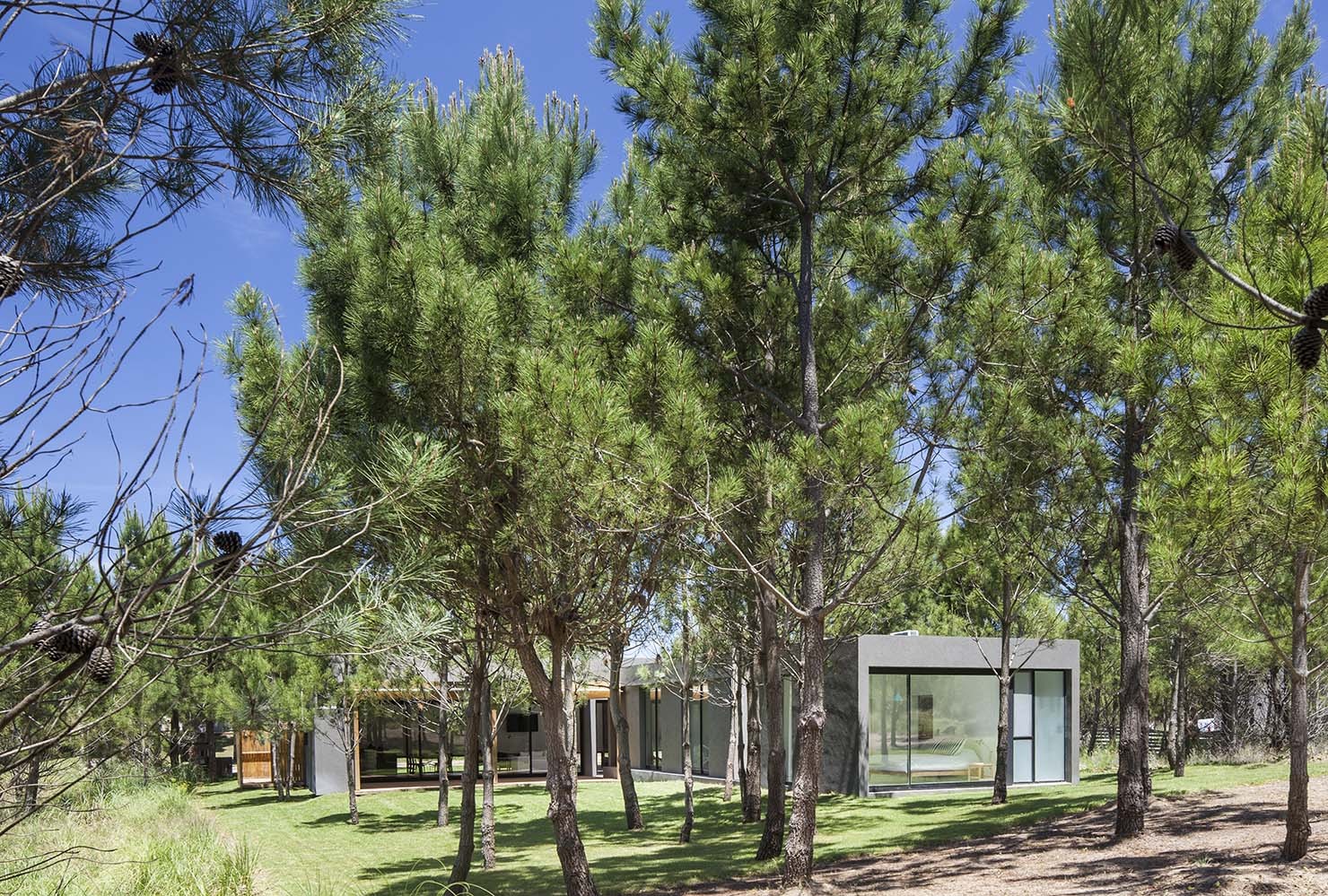 阿根廷L住宅丨EstudioPKa-15