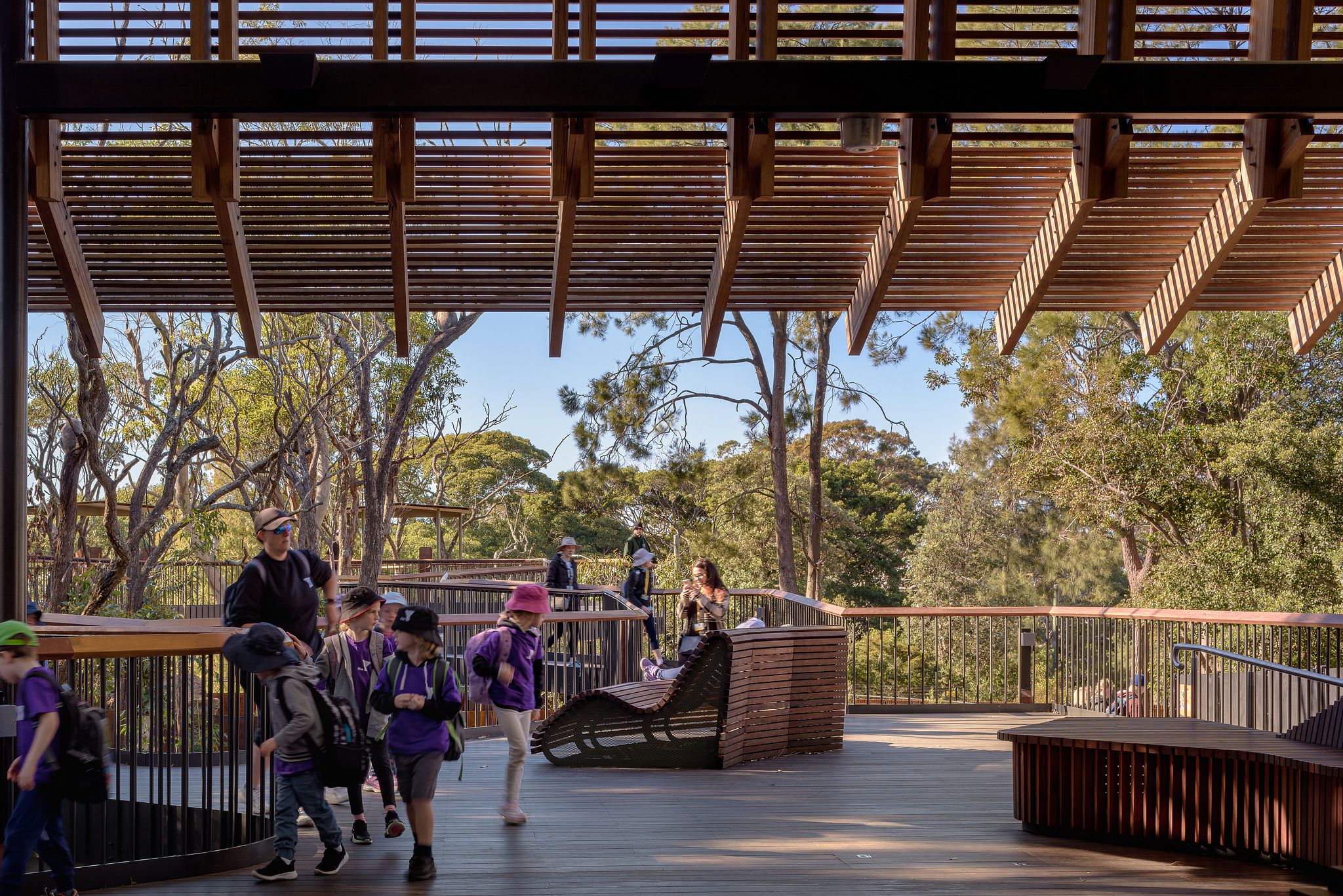 丨澳大利亚新南威尔士丨Lahz Nimmo Architects-10