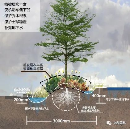 深圳市光明区海绵城市试点区域海绵化改造工程丨中国深圳-26