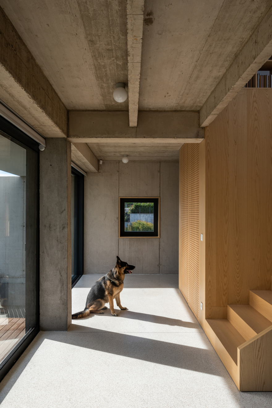 适合有宠物的家庭的房子丨斯洛伐克布拉迪斯拉发丨Sadovsky & Architects-42