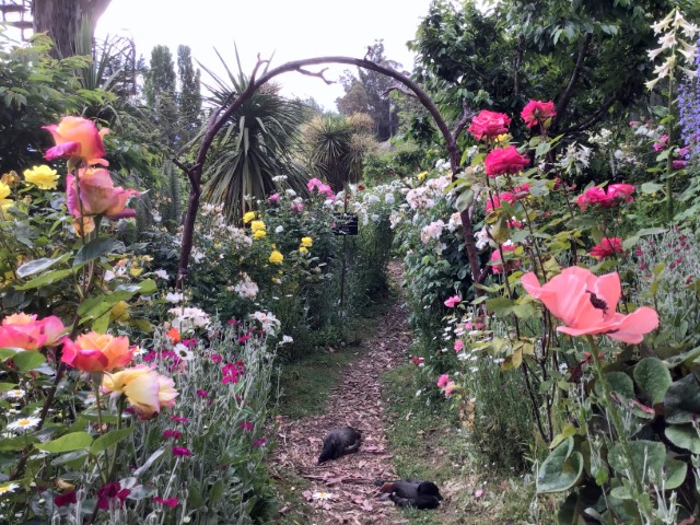 A Wild Dream私人花园丨新西兰丨无明确信息-8