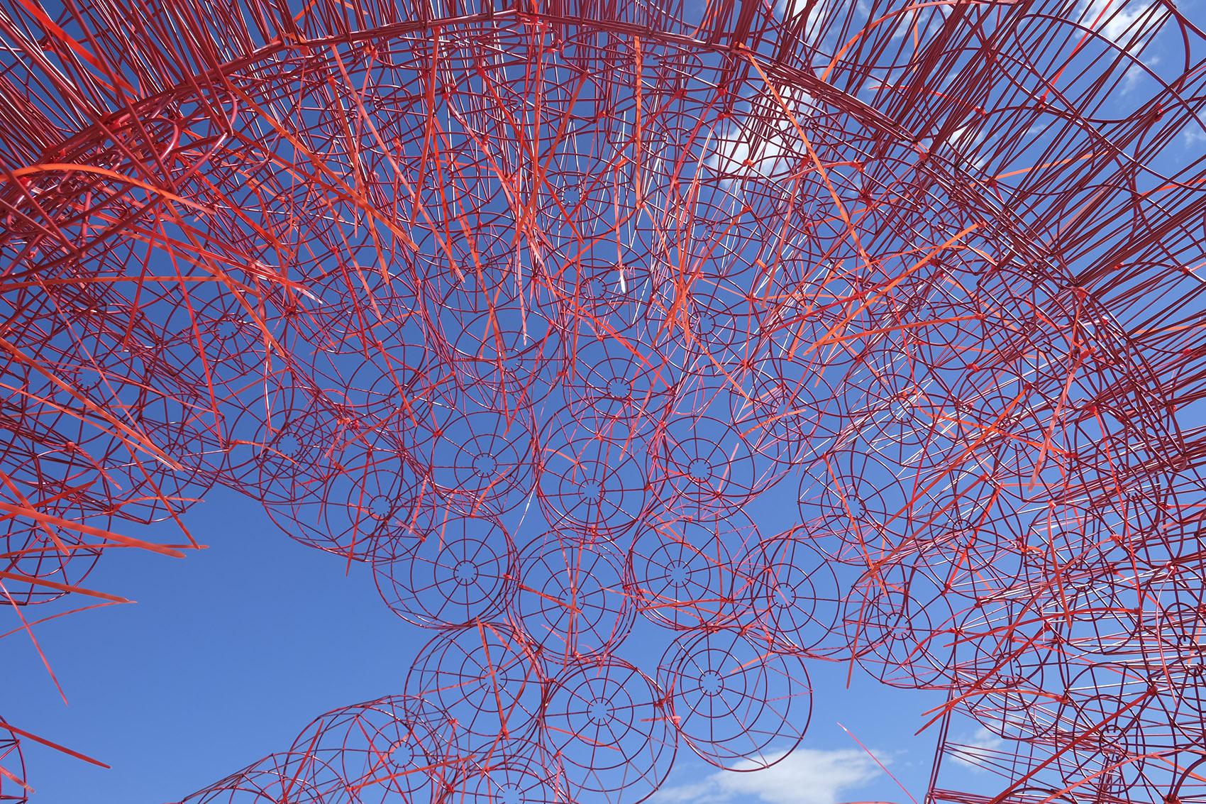 丹岩丨中国北京丨北京林业大学-101