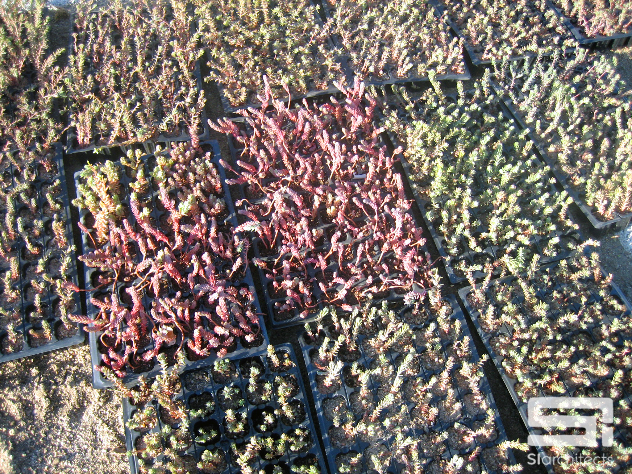 马尔瓦教育中心 | 绿色环保，学习与生活的和谐统一-9