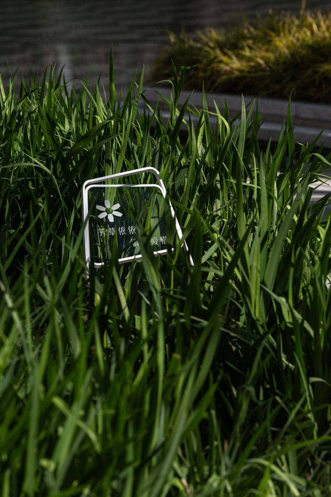 金沙壹号院 院藏万象 千屿归臻丨中国商丘丨柏熙标识-3