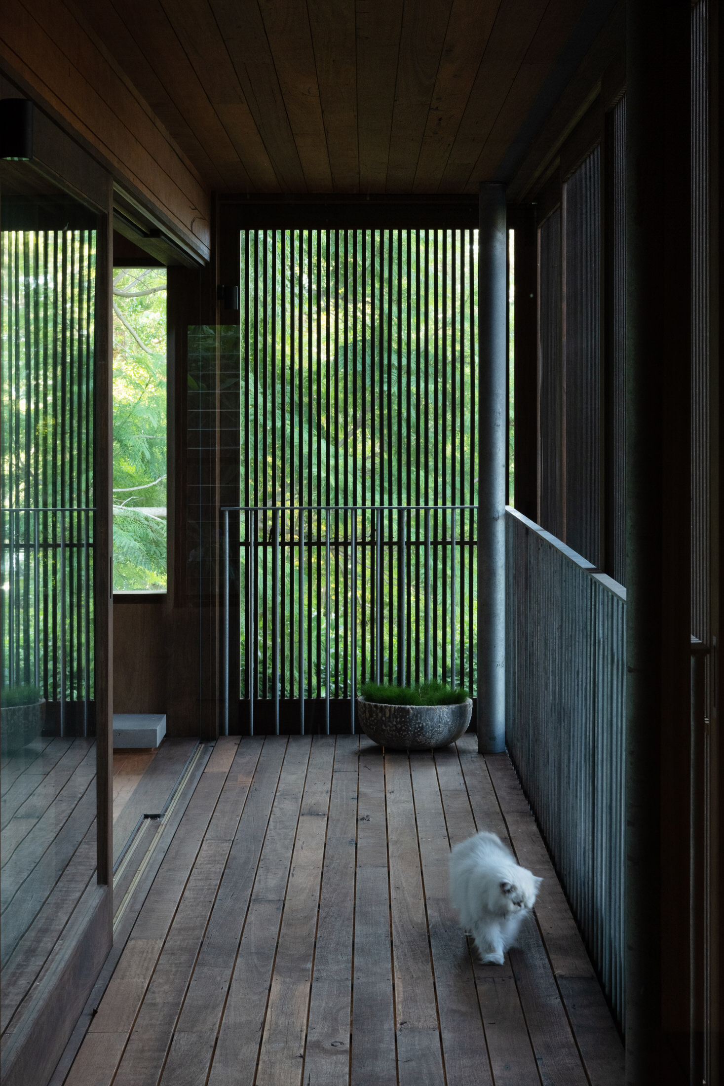 悉尼 70 年代海滨住宅改造丨澳大利亚悉尼丨Woodward Architects-22