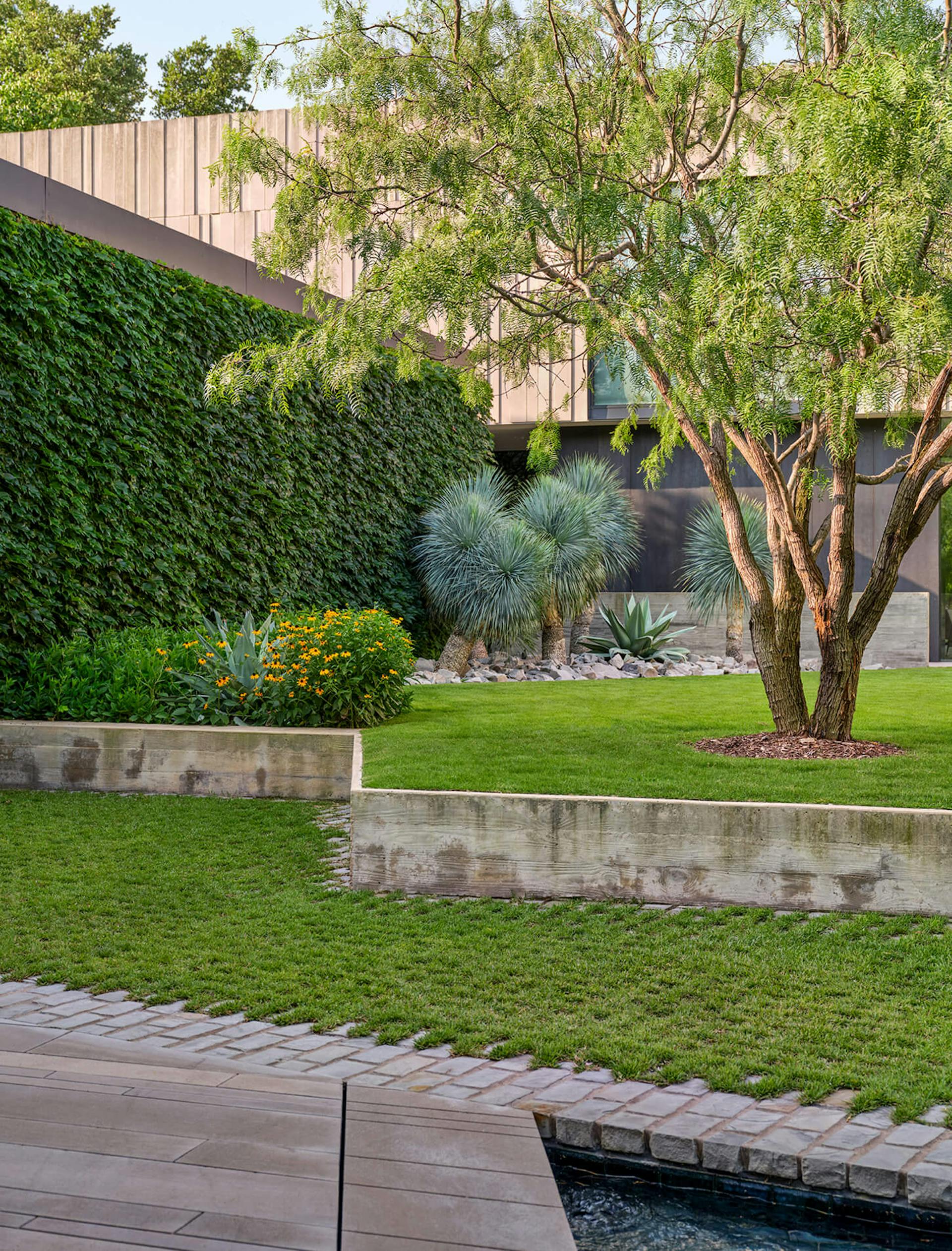 新月丨美国达拉斯丨HOCKER-77