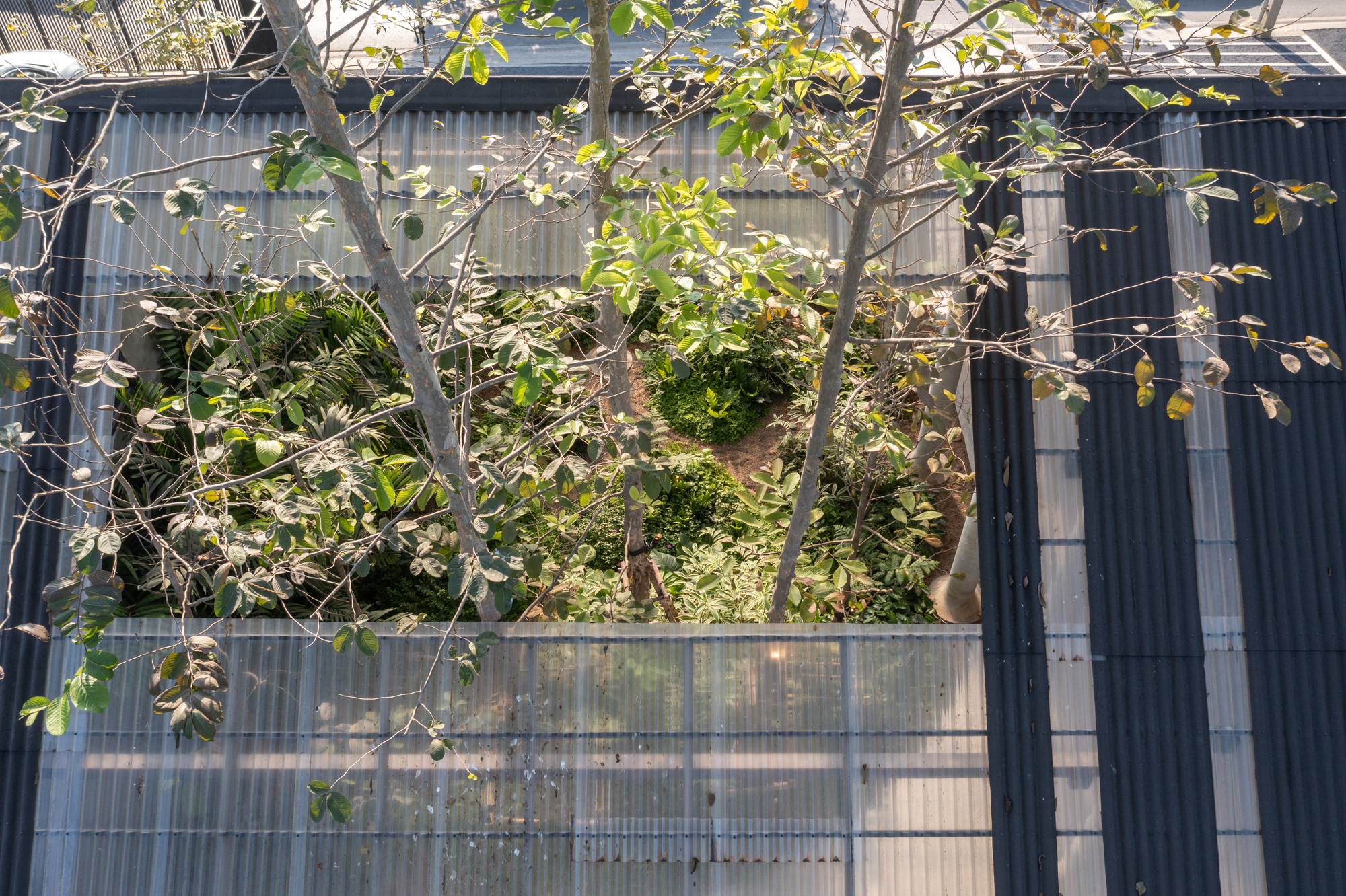 Dog,Human House,EKAR丨泰国佛统-43