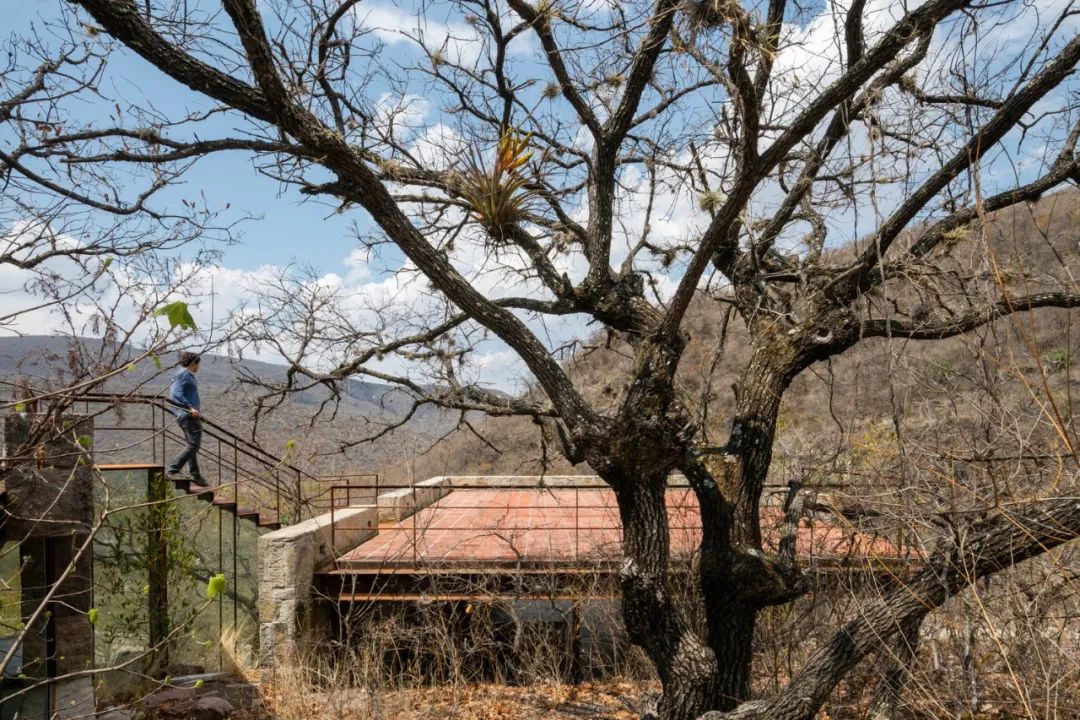 山间度假民宿 | 钢构++ 砖混结构，与自然共生-20