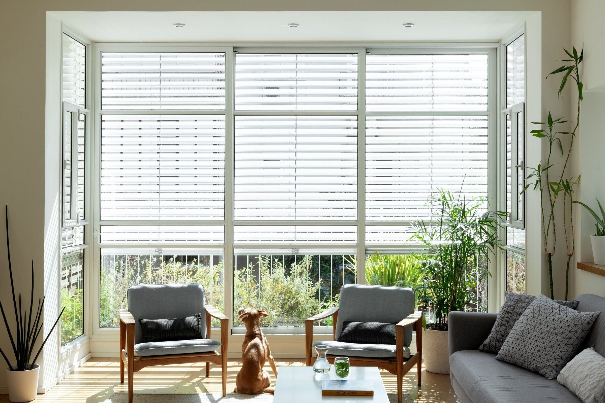 特拉维夫轻奢公寓，通透明亮的生活空间-19