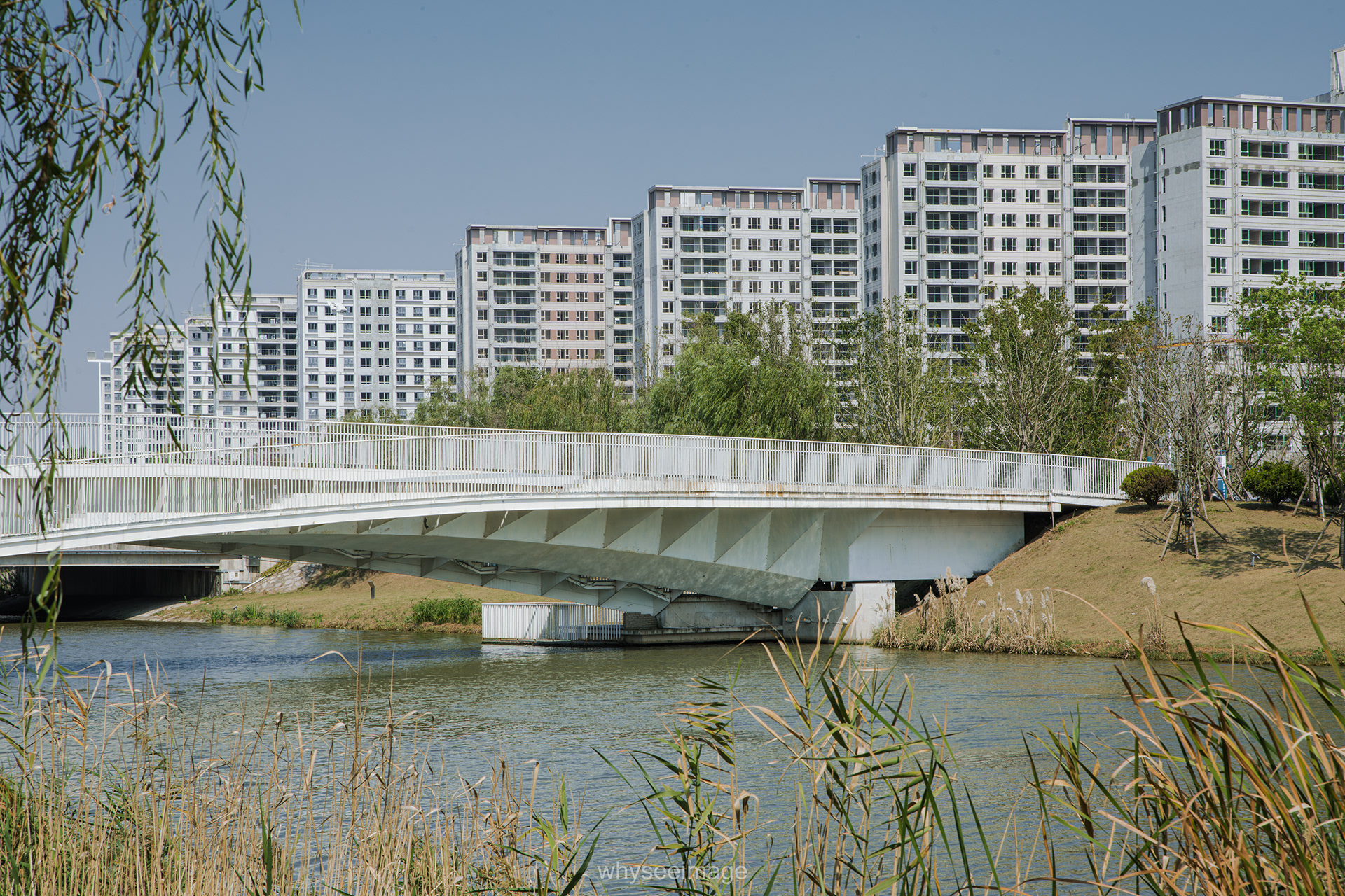 上海临港星空之境公园同观廊,旋星塔,羽旋桥丨中国上海丨上海中森止境设计工作室-36