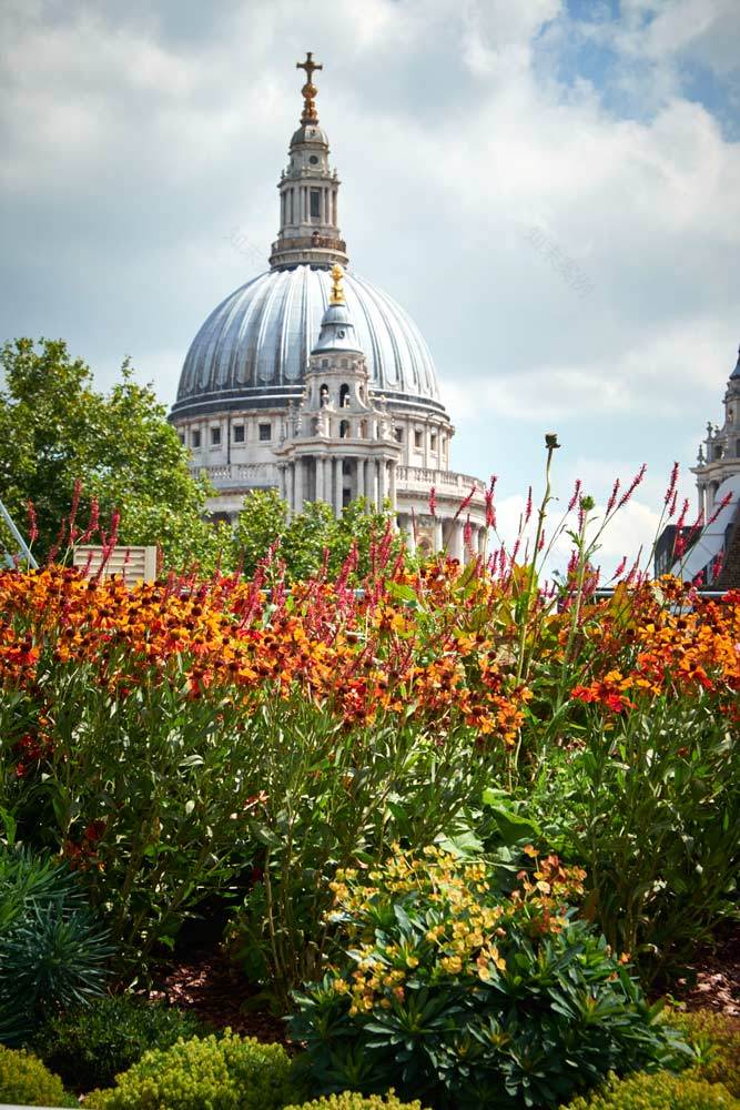 都市绿洲 · 伦敦 New Ludgate 五层露台设计-19