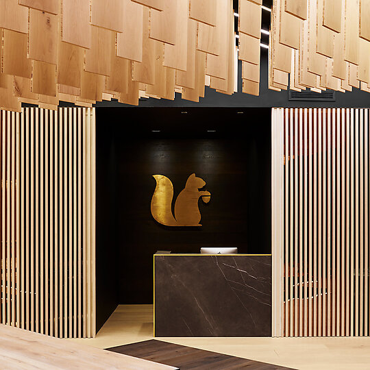 Tongue n Groove Flagship Showroom by Tobias Partners | Australian Interior Design Awards-9