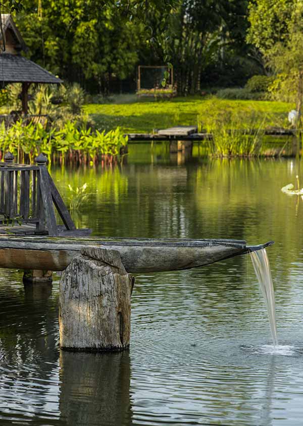 泰国清迈豪伊的生态度假村,Howie’s Homestay 丨泰国丨bensley-37