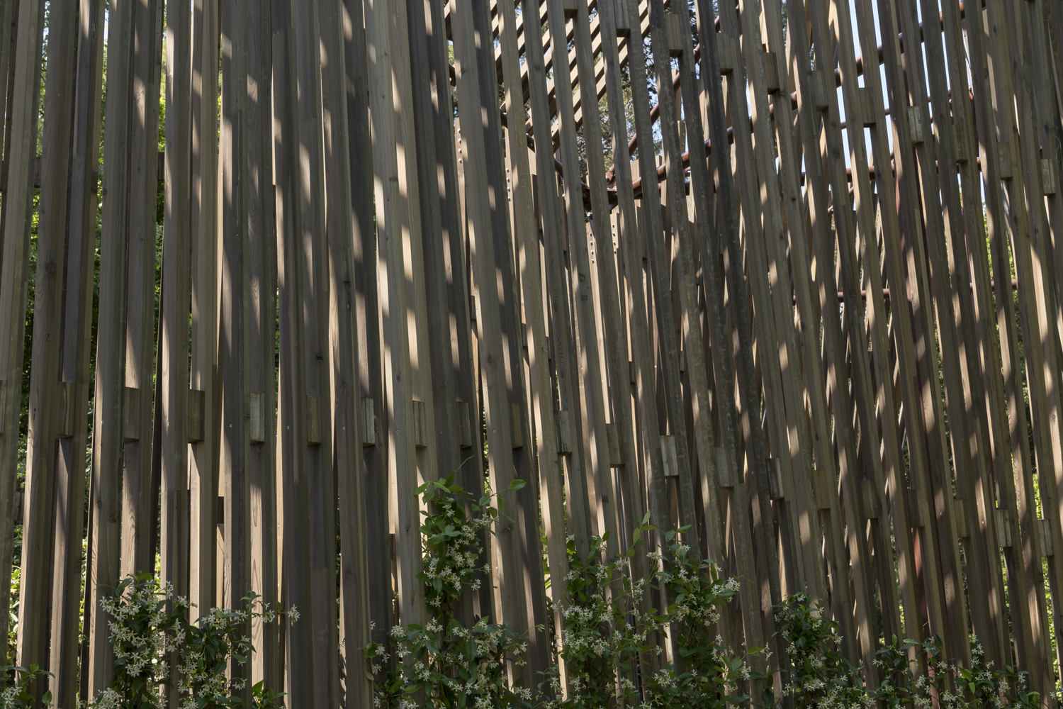 Vatican Chapel  Foster + Partners-43