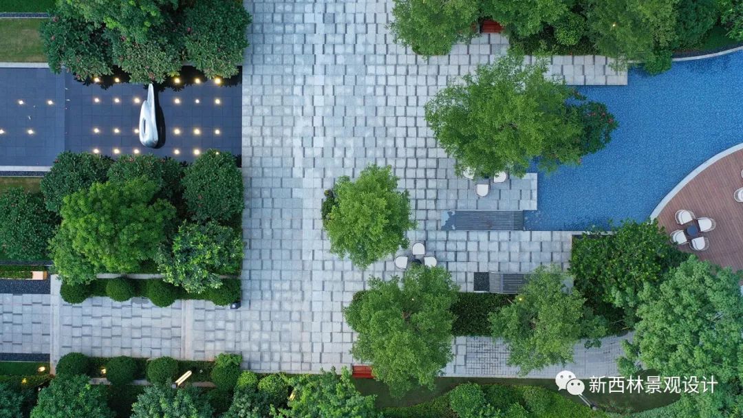 仁恒·海棠公园 | 国际都会高品生态社区的花园城市记忆-112