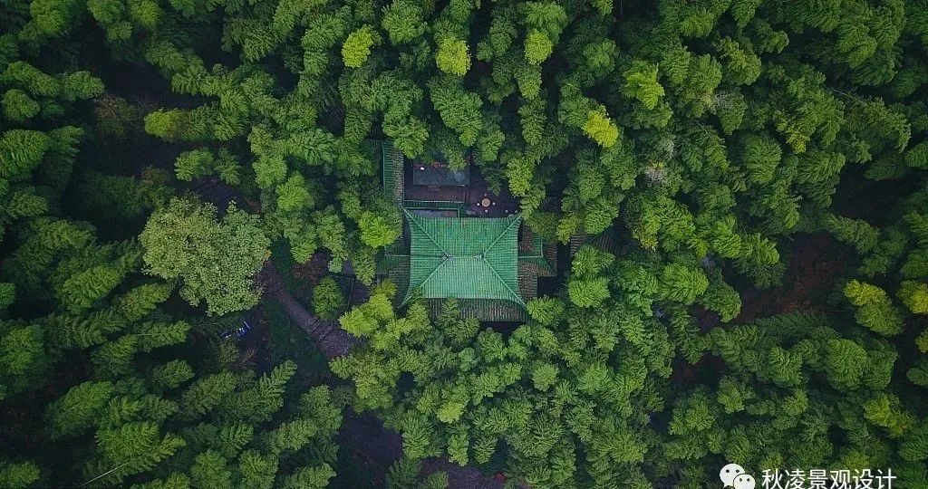 园林文化——寓意解析 | 四君子、花王与雪中四友-77