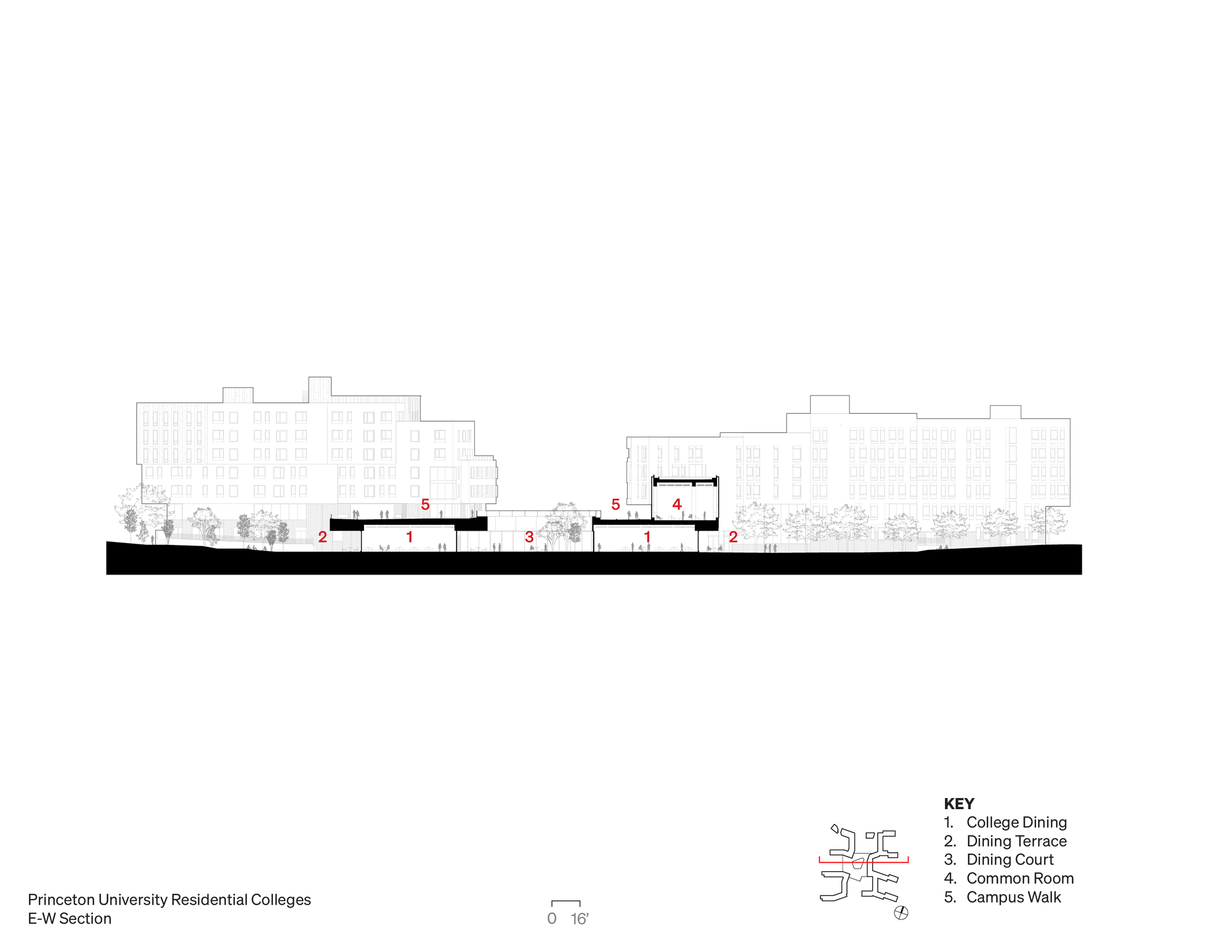 Princeton University Residential Colleges / TenBerke-59