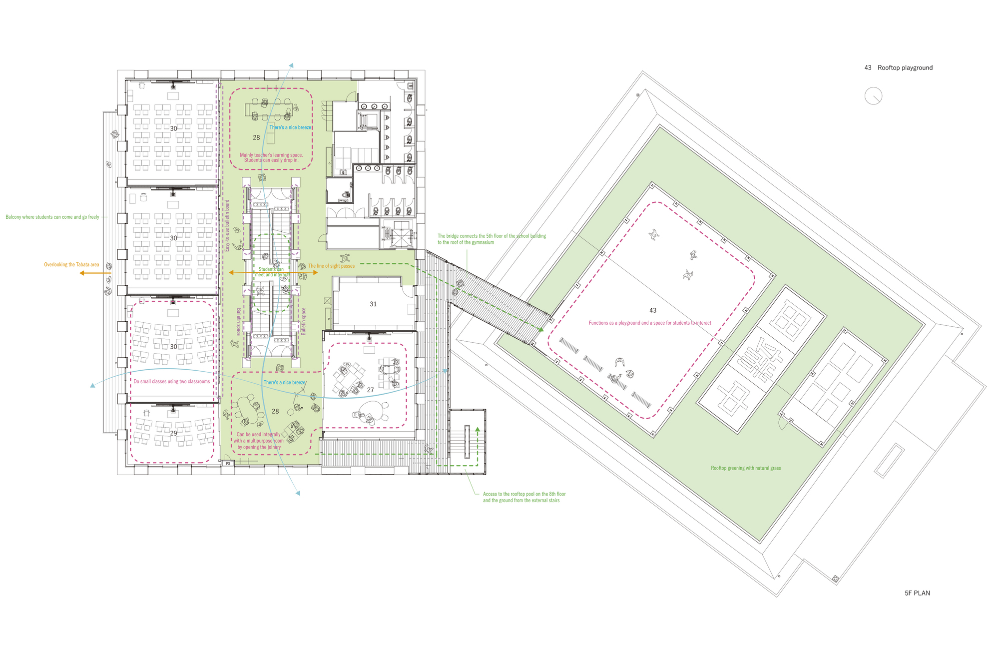 田畑初中丨日本东京丨Coelacanth K&H Architects-16