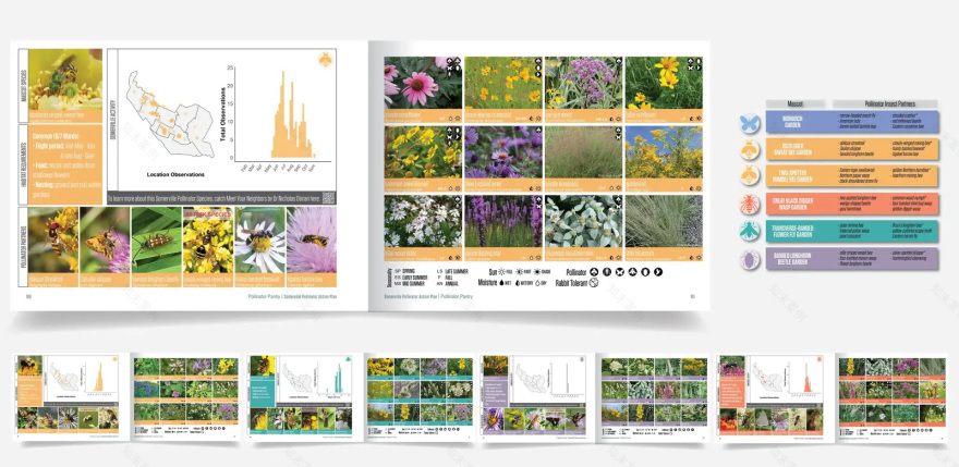萨默维尔授粉昆虫行动计划丨美国丨Offshoots,Inc.-33