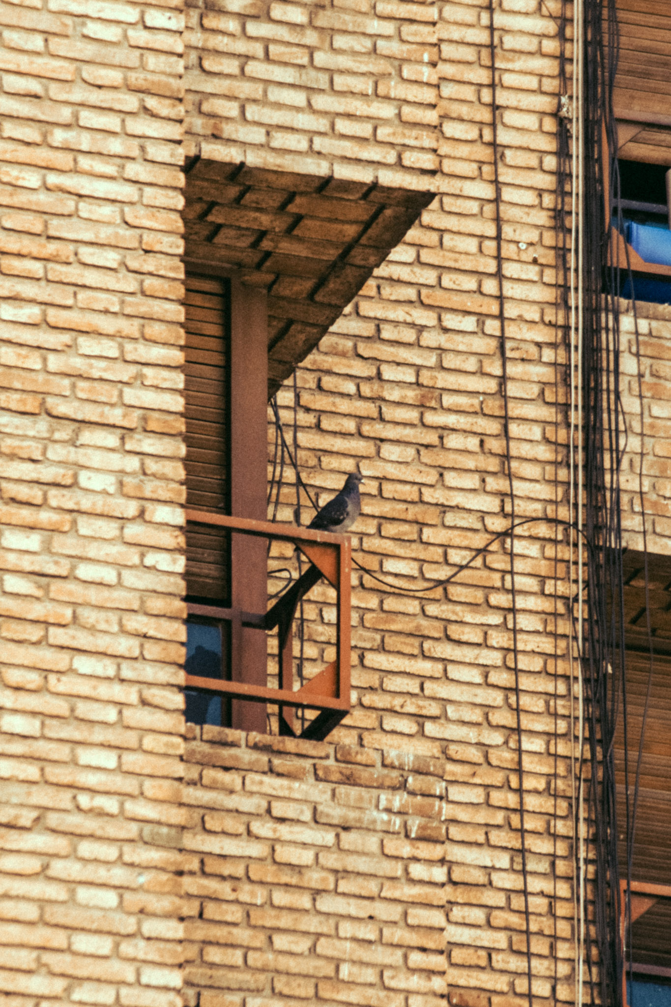 Street ph en Cordoba Capital-11