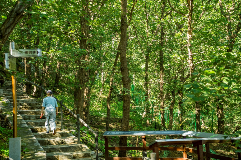“百年中法友谊的见证者”——北林地景助力贝家花园焕新开放-39