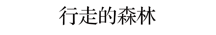 从南到北 · 童文敏的艺术项目丨中国重庆-4