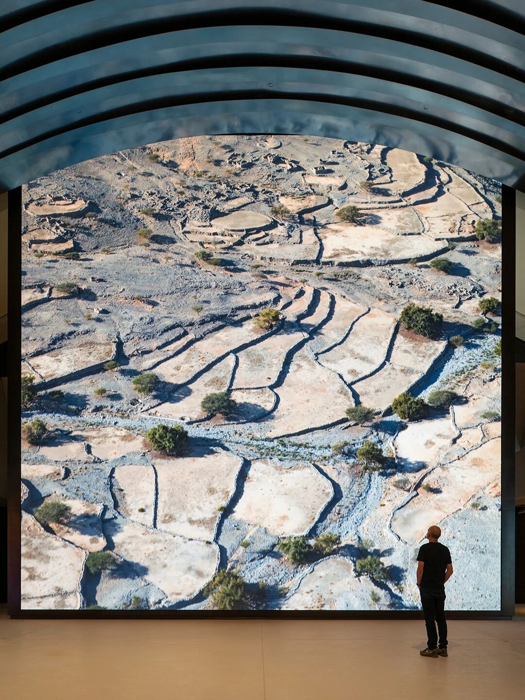 扎耶德国家博物馆丨阿联酋阿布扎比丨Foster Partners-10