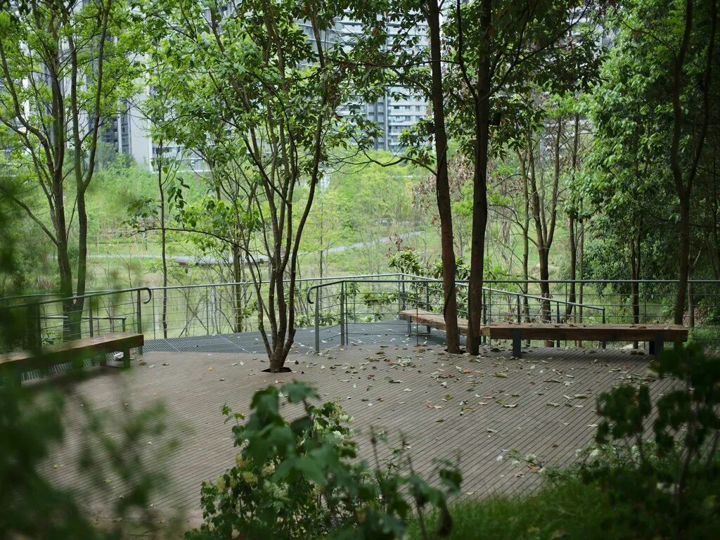 城市掌心的生态山野——麓野公园-215