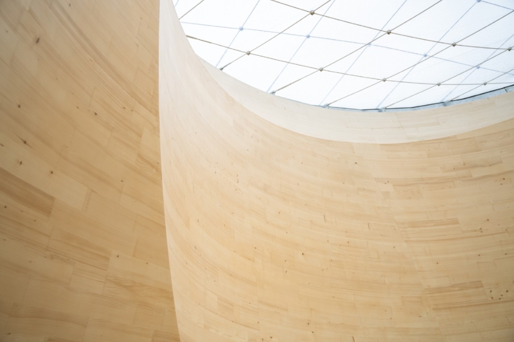 Blumer Lehmann总部中庭丨斯图加特大学计算设计与建造研究所,K&L Architekten事务所-46